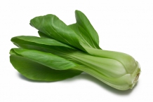Bok-choy