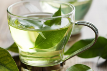 Boldo-Tea