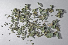 Dried-pieces-of-Boldo-leaves