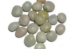 Seeds-of-Bonduc-Nut