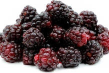 Boysenberry
