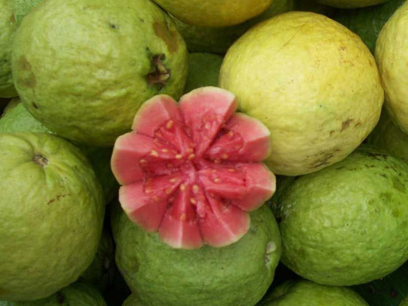 Brazilian-guava