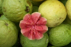 Brazilian-guava