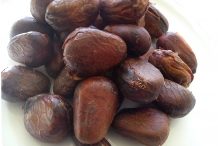 Breadfruit-seeds-7