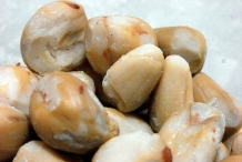 Breadfruit-seeds-without-shell