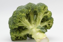 Broccoli