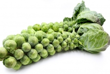 Brussel-sprouts