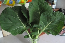 Leaves-of-Brussel-sprouts