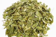 Dried leaves from the Buchu plant