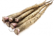 Burdock-root