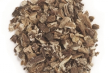 Dried-root-of-Burdock