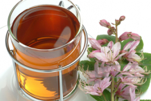 Burning-Bush-tea