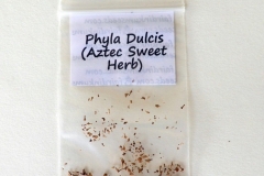 Bushy-Lippia-seeds