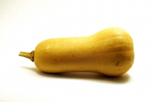 Butternut-squash