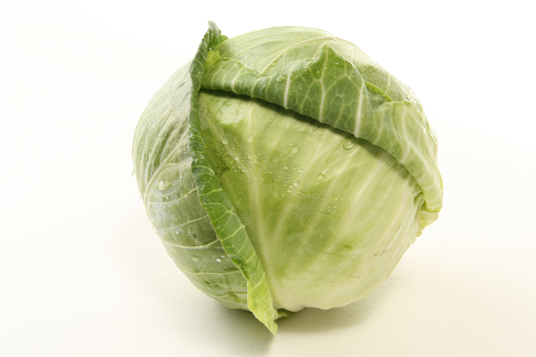 Cabbage-head