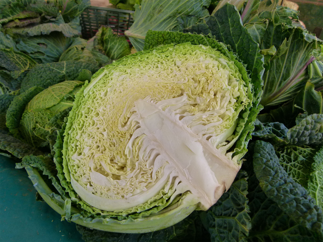 Half-cut-Cabbage