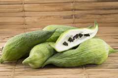 Caigua