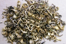 Calendula-seeds