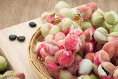 Camachile-fruit