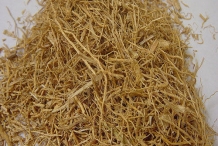 Dried camel grass