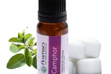 Camphor-oil