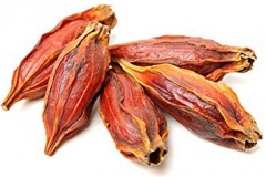 Dried-fruits-of-Cape-jasmine