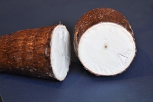 Half-cut-Cassava