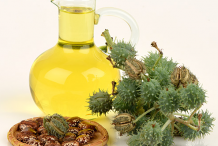 Castor-Beans-oil