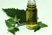 Catnip-oil