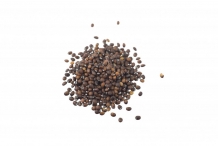 Seeds-of-Catnip