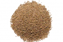 Celery-seeds-1
