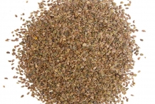 Celery-seeds-2
