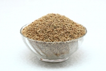 Celery-seeds-4