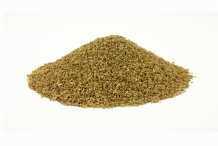 Celery-seeds-5