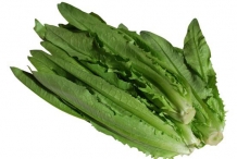 Leaves-of-Celtuce