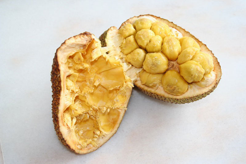 Cempedak Fruit Facts And Health Benefits