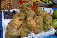Cempedak-fruit-Sold-in-Market