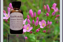 Centaury-plant-Extracts
