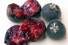 Ceylon-gooseberry-pulp