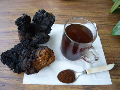 Chaga-mushroom-tea