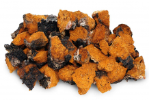 Small-chunks-of-chaga-mushroom