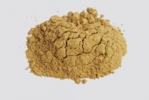 Chamomile-powder