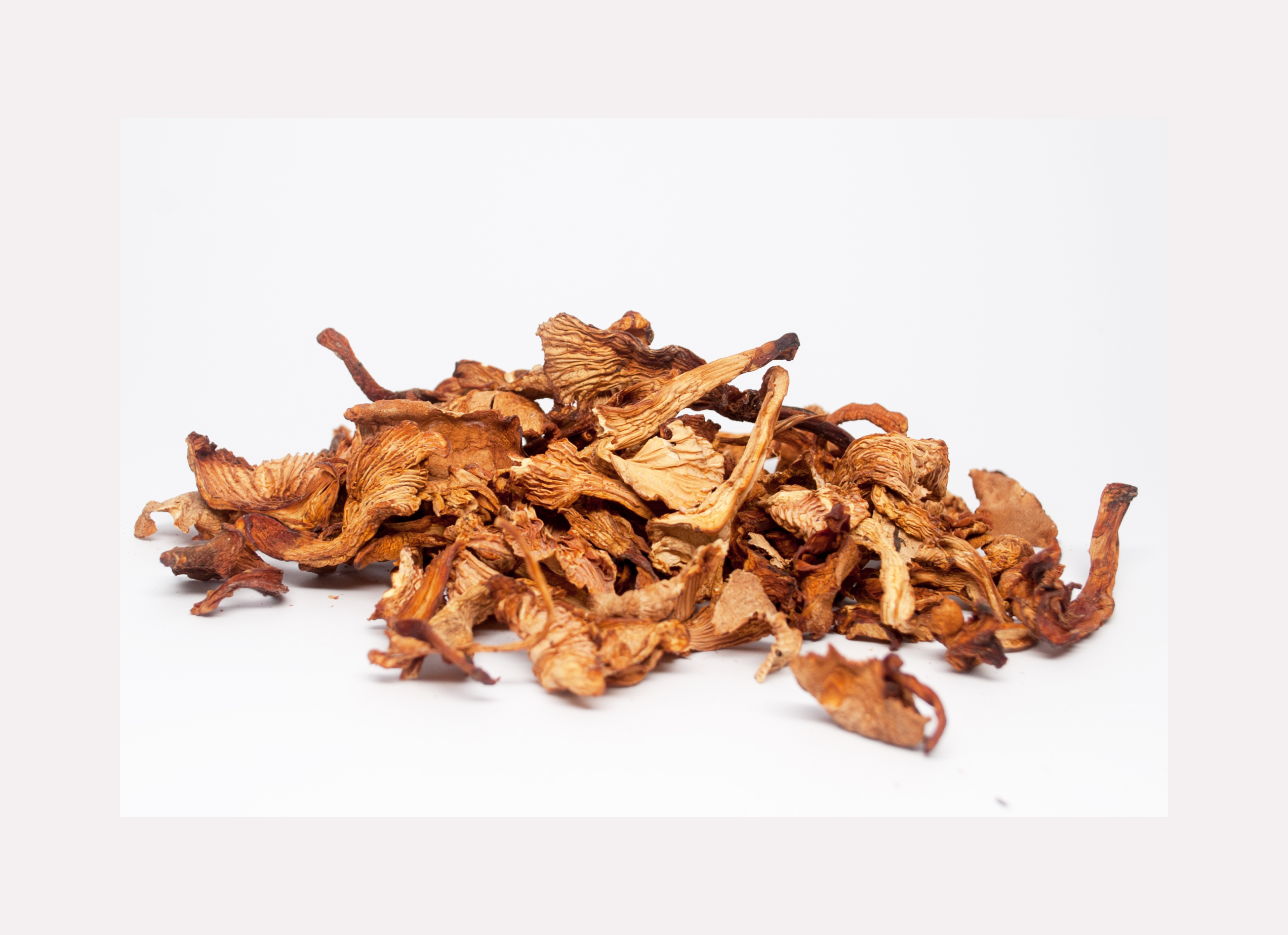 Dried-Chanterelle-mushroom