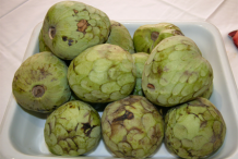 Cherimoya-fruit