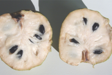 Half-Cut-Cherimoya