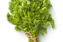 Bunch-of-Chervil-plant