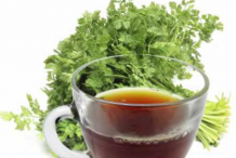 Chervil-Tea