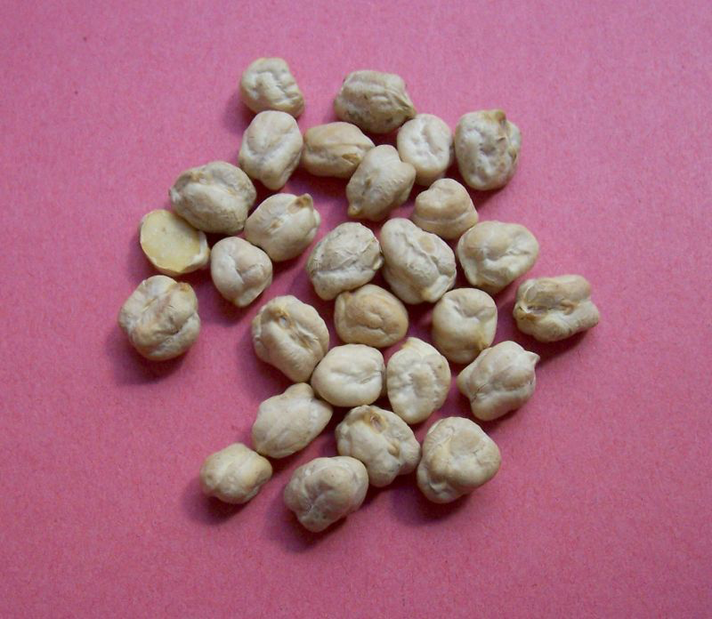 Dried-Chickpeas