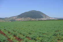 Chickpea-farming