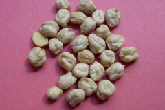 Dried-Chickpeas